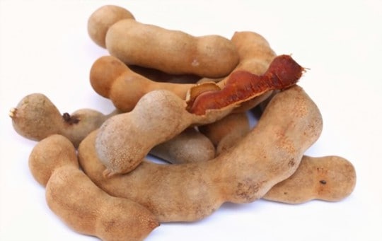 The 5 Best Substitutes for Tamarind Concentrate