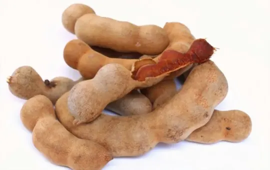 The 5 Best Substitutes for Tamarind Concentrate