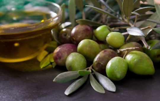 What Do Olives Taste Like? Do Olives Taste Good?