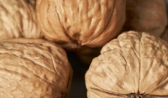 what do walnuts taste like