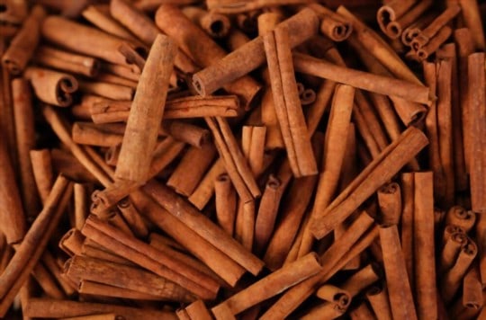 how to cook and use cinnamon