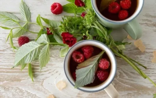 how to serve raspberry leaf tea
