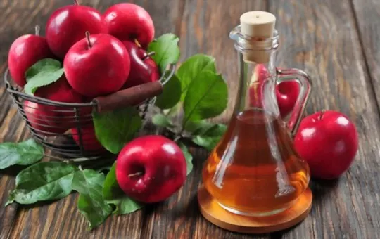 The 5 Best Substitutes for Apple Cider Vinegar