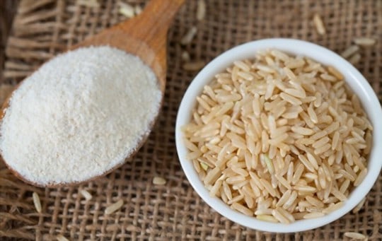 The 5 Best Substitutes for Brown Rice Flour