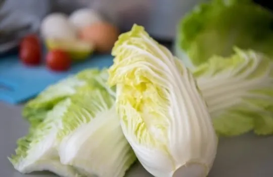The 5 Best Substitutes for Napa Cabbage