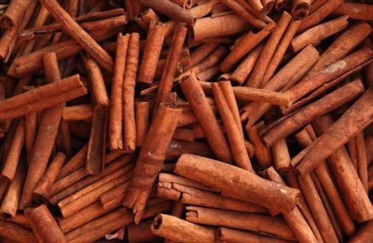 what is cinnamon