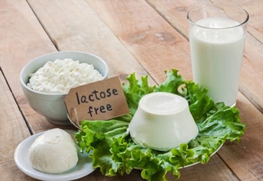 what is lactose free milk