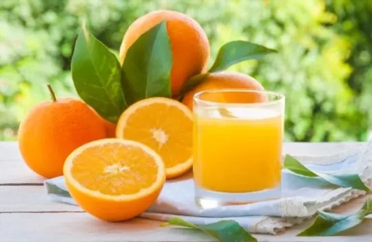 How Long Does Orange Juice Last? Does Orange Juice Go Bad?