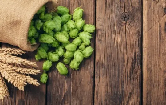 how to use hops