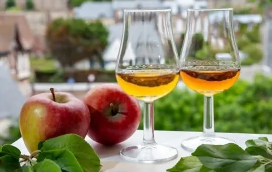 The 5 Best Substitutes for Calvados
