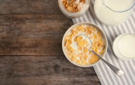 The 5 Best Substitutes for Corn Flakes