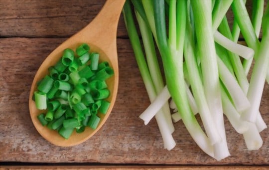 what is spring onion