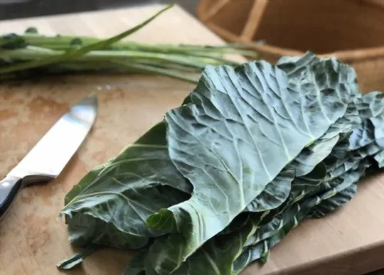 The 5 Best Substitutes for Collard Greens