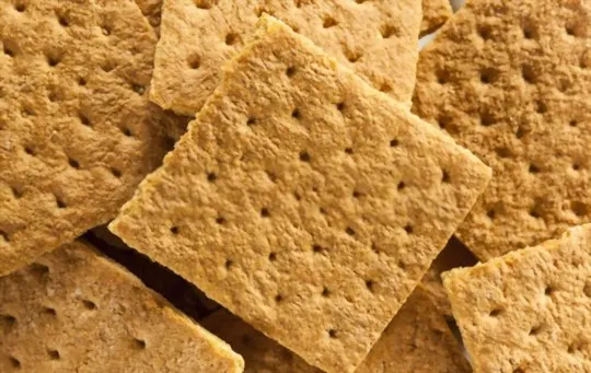 The 5 Best Substitutes for Graham Crackers