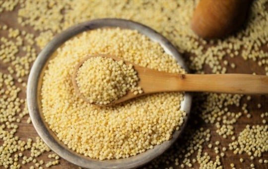 The 5 Best Substitutes for Millet