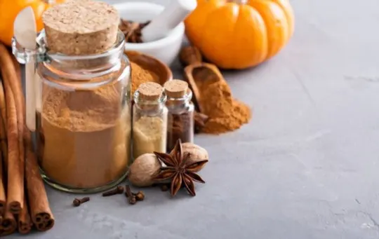 The 5 Best Substitutes for Pumpkin Pie Spice