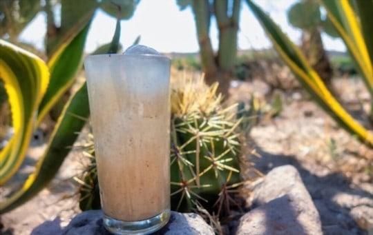 What Does Cactus Water Taste Like? Does It Taste Good?