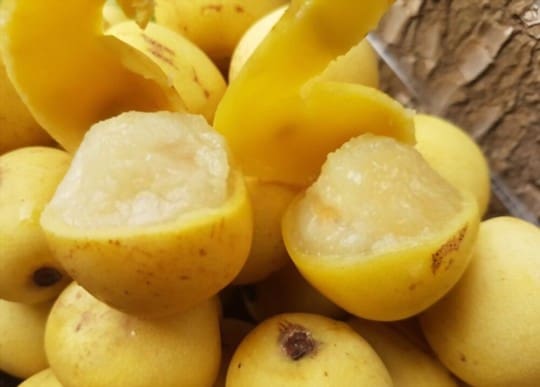 what does marula fruit taste like