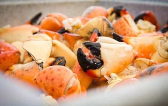 what does stone crab taste like