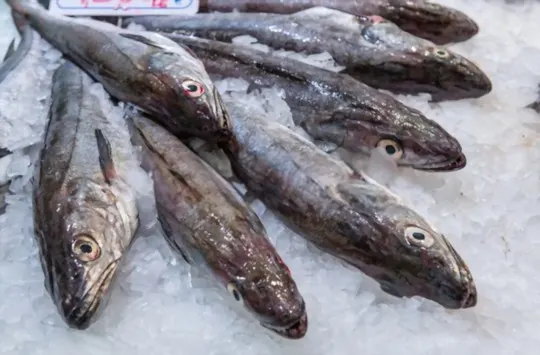 What Does Whiting Fish Taste Like? Does It Taste Good?