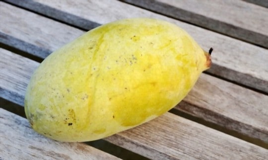 what is paw paw fruit