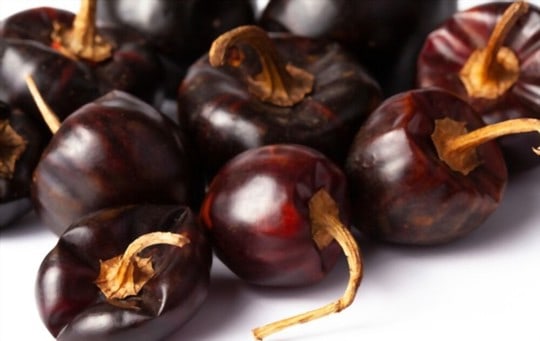 The 5 Best Substitutes for Cascabel Chile