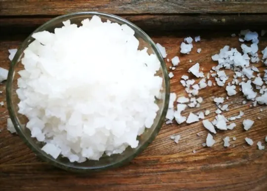 The 5 Best Substitutes for Kosher Salt