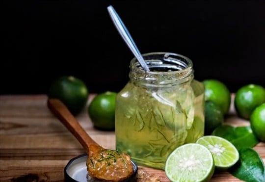 The 5 Best Substitutes for Lime Marmalade