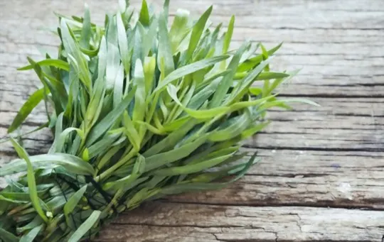 The 5 Best Substitutes for Tarragon