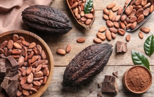 What Does Raw Cacao Taste Like? Does It Taste Good?