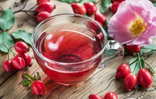 What Does Rosehip Tea Taste Like? Does It Taste Good?