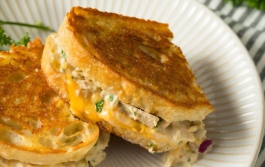 What to Serve with Tuna Melts? 10 BEST Side Dishes