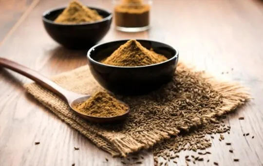 The 5 Best Substitutes for Cumin