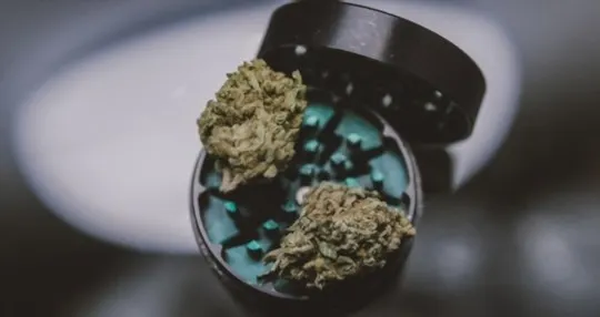 The 5 Best Substitutes for Weed Grinders
