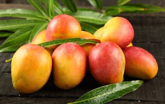 What Does Mango Taste Like? Does It Taste Good?