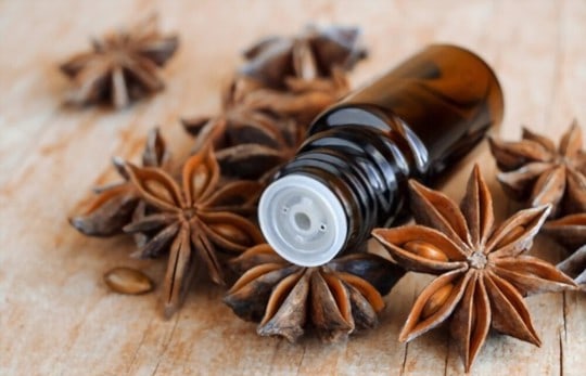 The 5 Best Substitutes for Anise Extract
