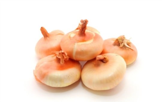The 5 Best Substitutes for Cipollini Onions