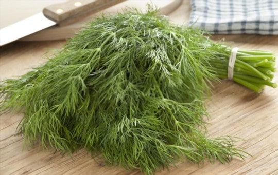 The 5 Best Substitutes for Dill Weed