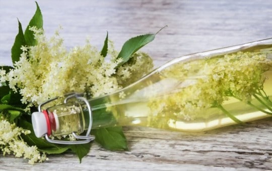 The 5 Best Substitutes for Elderflower Liqueur