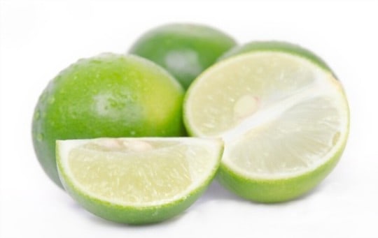 The 5 Best Substitutes for Key Lime Juice