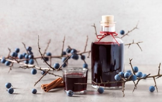 The 5 Best Substitutes for Sloe Gin