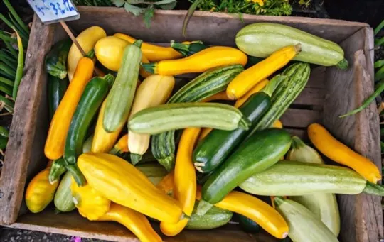 The 5 Best Substitutes for Summer Squash