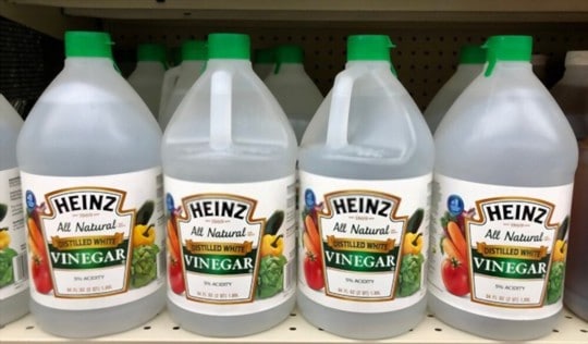 The 5 Best Substitutes for White Distilled Vinegar