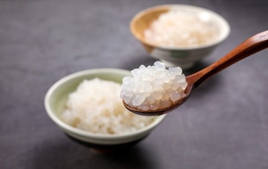 The 5 Best Keto Substitutes for Rice
