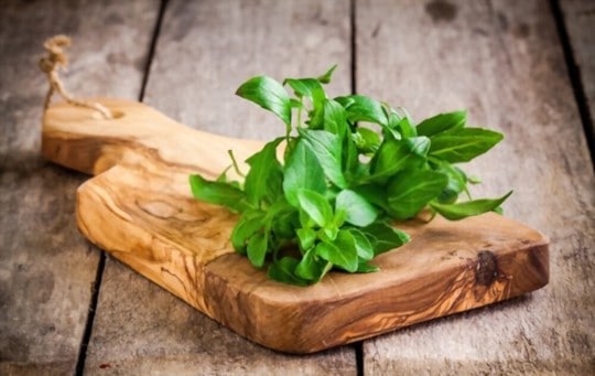The 5 Best Substitutes for Basil in Cooking