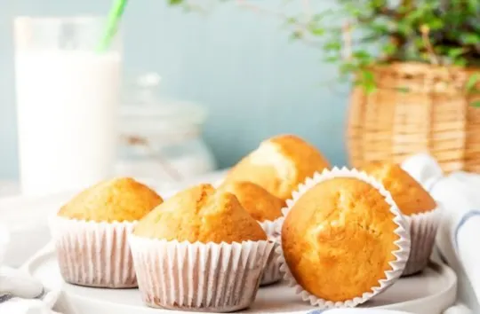 The 5 Best Substitutes for Eggs in Muffins
