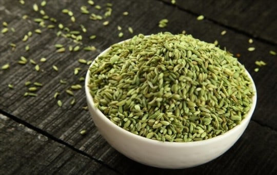 The 5 Best Substitutes for Fennel Seeds
