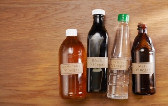 The 5 Best Substitutes for Malt Vinegar