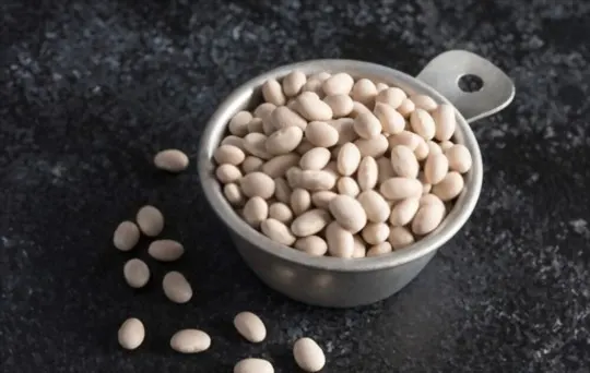 The 5 Best Substitutes for Navy Beans