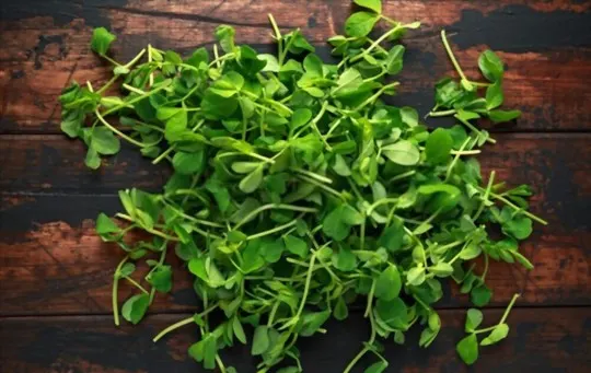 The 5 Best Substitutes for Pea Shoots